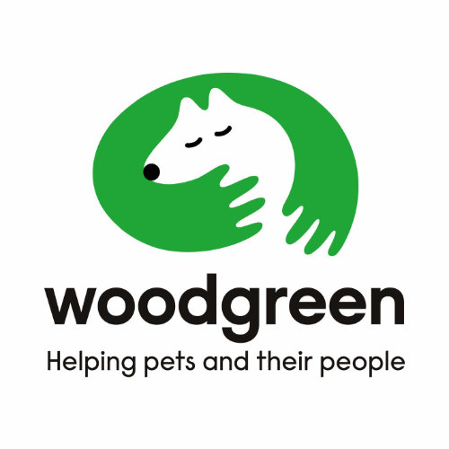 Dog in a countryside field representing Woodgreen Pets Charity